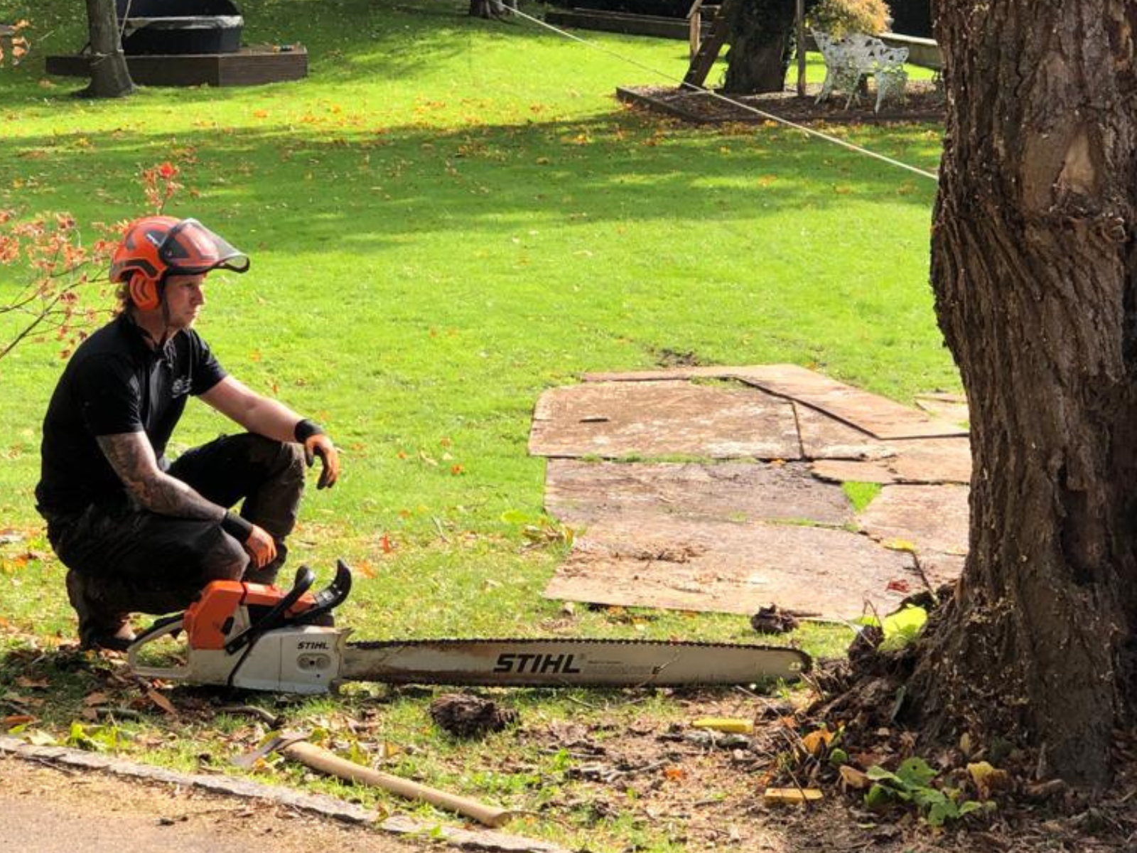 Tree Crown Reduction & Thinning in Sussex